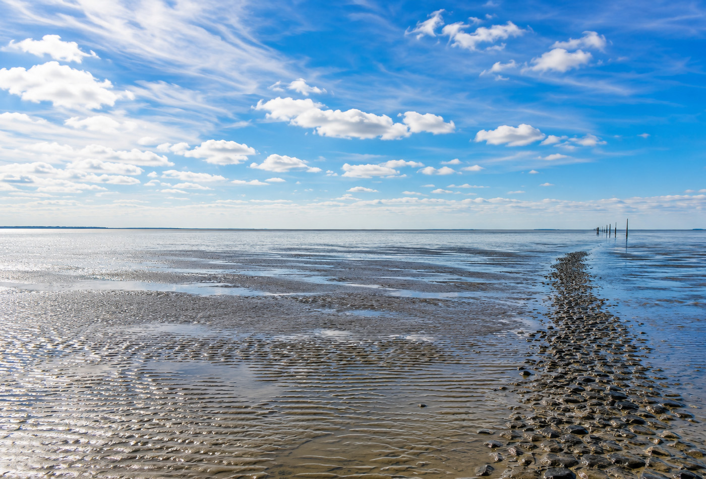 Wattenmeer Norddeich